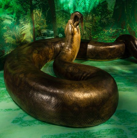 Огромная древняя змея может снова появиться на Земле