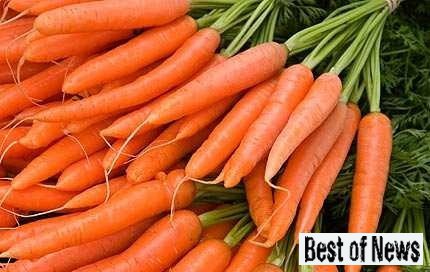 как хранить морковь