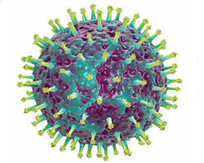 грипп и иммунитет